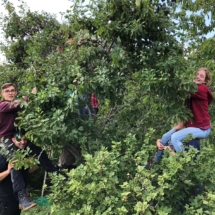 2Garten4