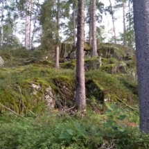 6Nature1