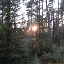 6Nature17