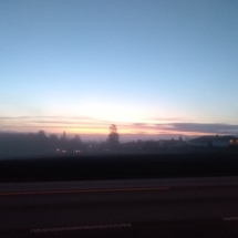 6Nature19