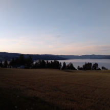 6Nature3