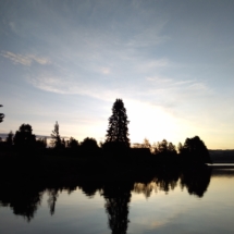 6Nature5