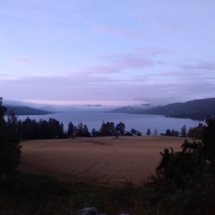 6Nature7