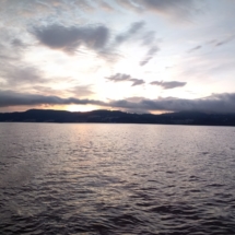6Nature9