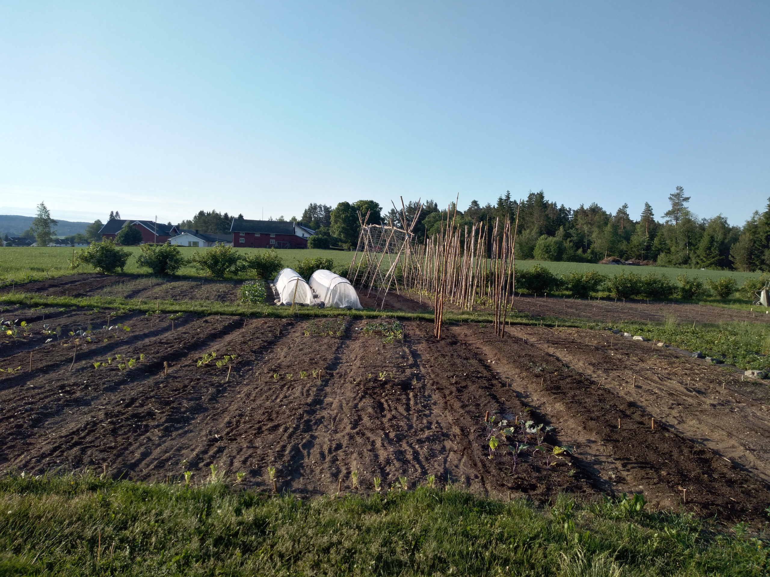 Garten draußen