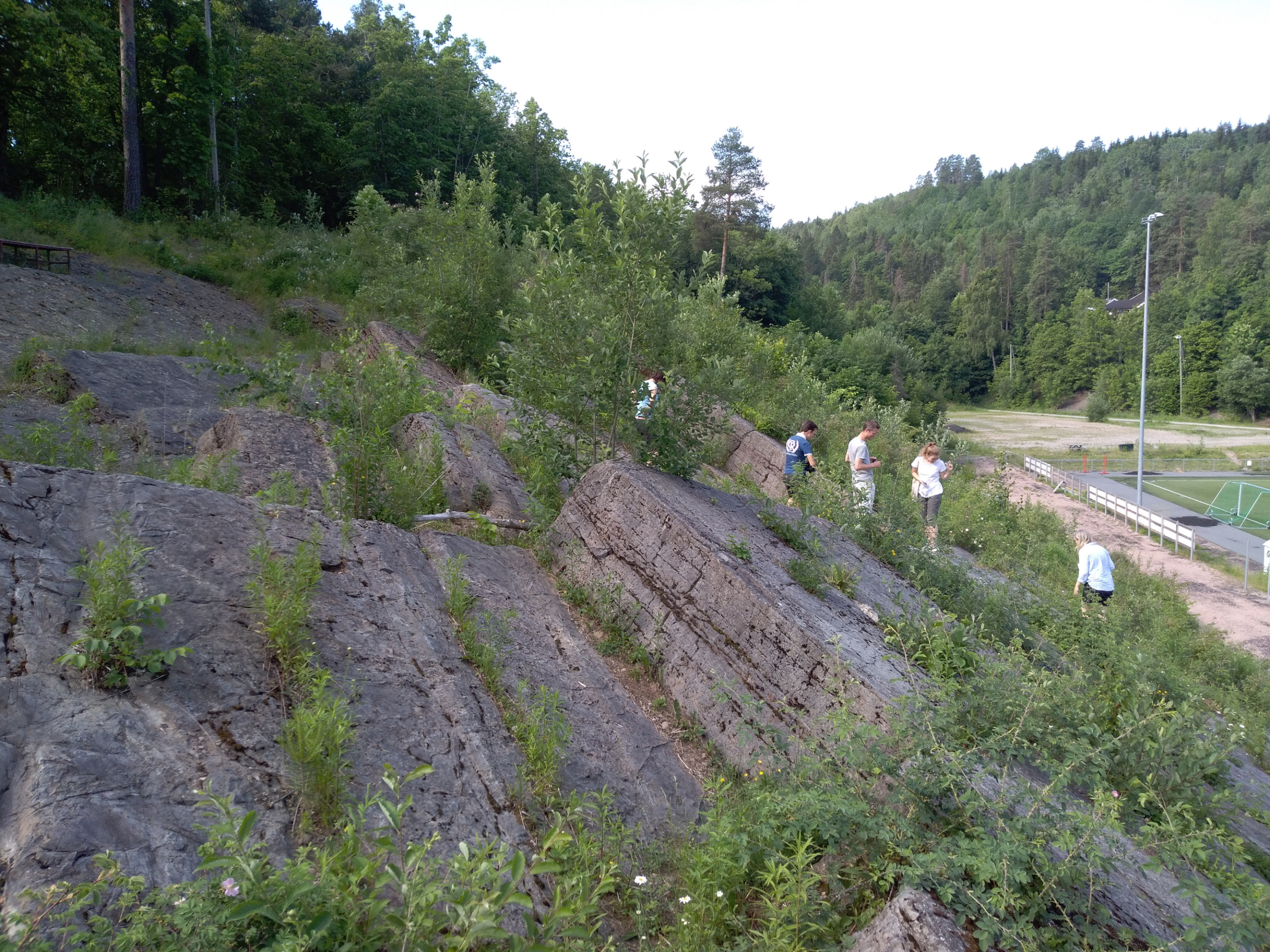 Steinformation mit Fossilien