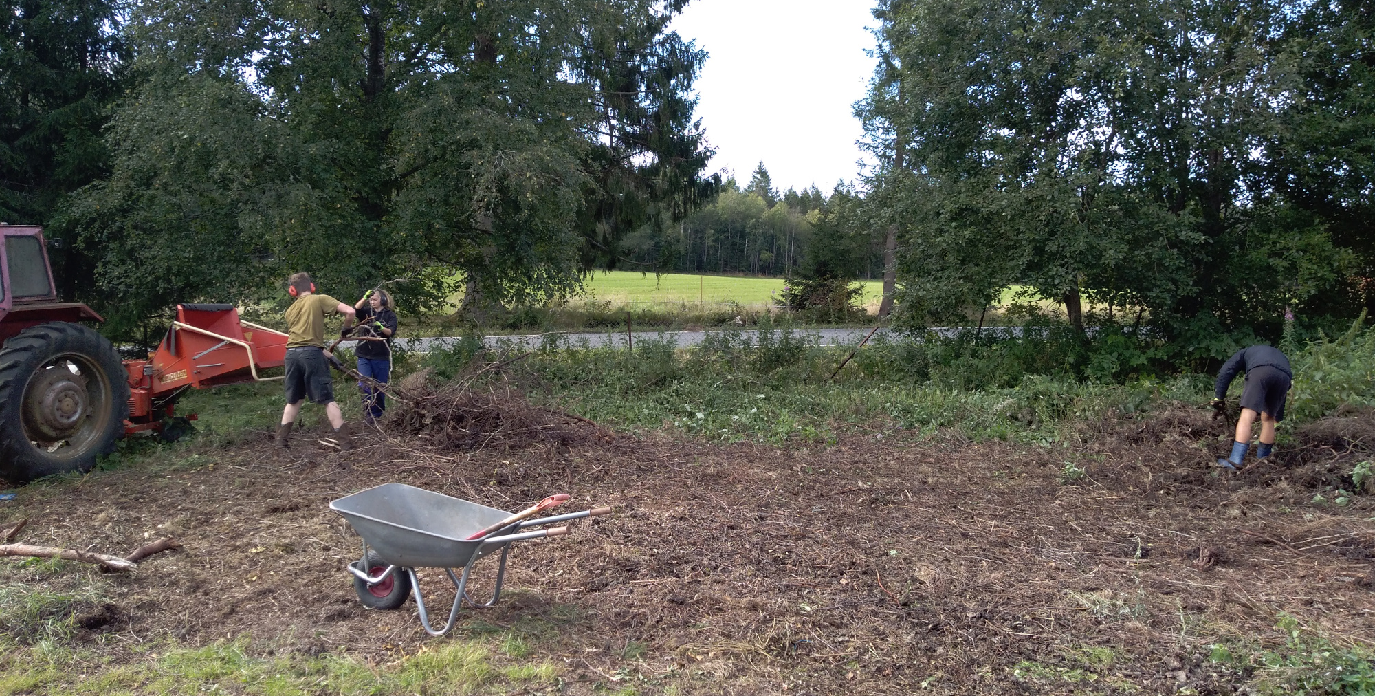 Bild von der Arbeit mit dem Holz